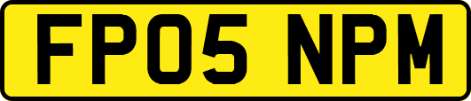 FP05NPM