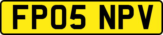 FP05NPV