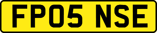 FP05NSE