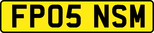 FP05NSM