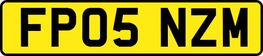 FP05NZM