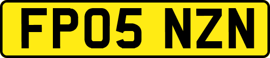 FP05NZN