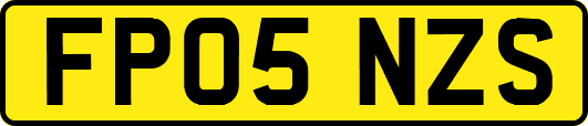 FP05NZS