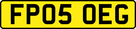 FP05OEG