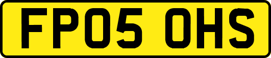 FP05OHS