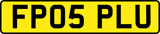 FP05PLU