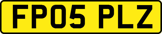 FP05PLZ