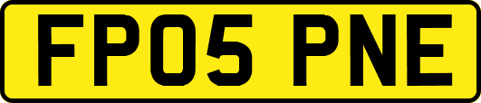 FP05PNE