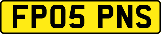 FP05PNS
