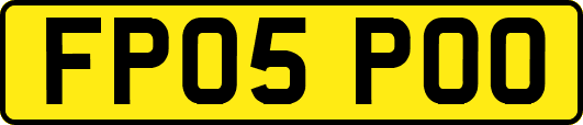 FP05POO