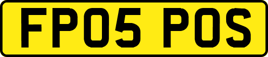 FP05POS