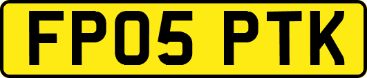 FP05PTK