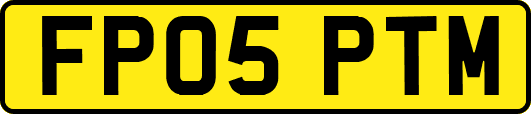 FP05PTM