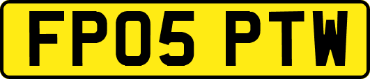 FP05PTW