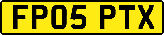 FP05PTX