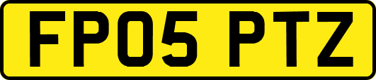 FP05PTZ