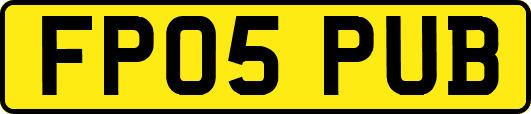 FP05PUB
