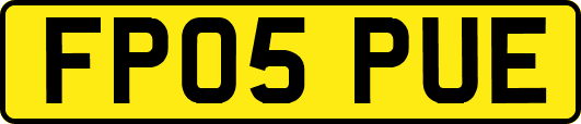 FP05PUE