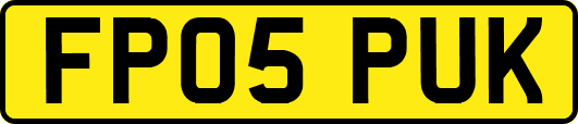 FP05PUK