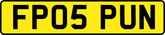 FP05PUN