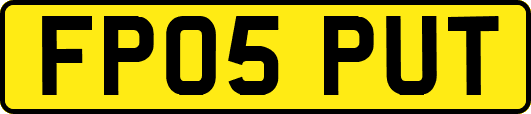 FP05PUT