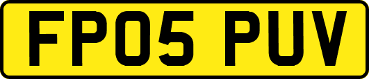 FP05PUV