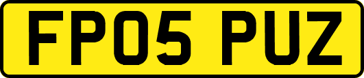 FP05PUZ