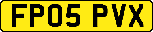 FP05PVX