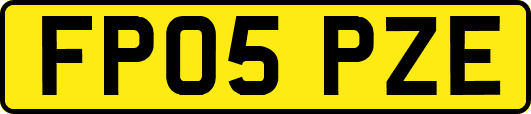 FP05PZE