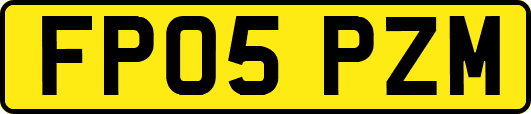 FP05PZM