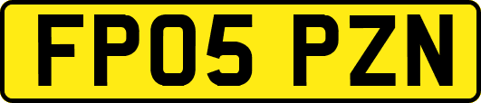 FP05PZN