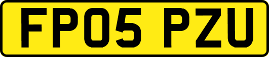 FP05PZU