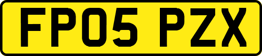FP05PZX