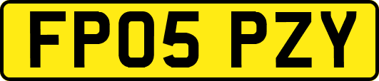 FP05PZY