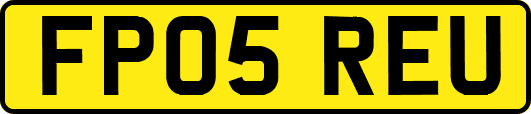 FP05REU