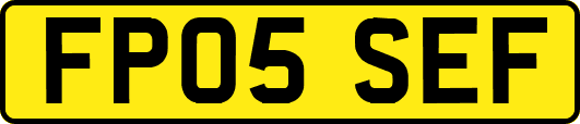 FP05SEF