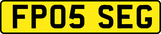 FP05SEG