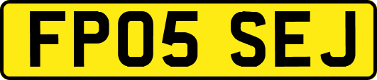 FP05SEJ