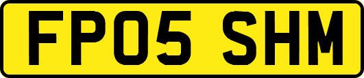 FP05SHM
