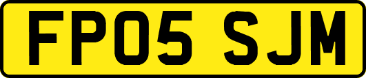 FP05SJM