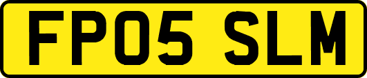 FP05SLM