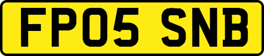 FP05SNB