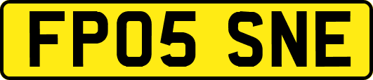 FP05SNE