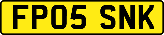 FP05SNK