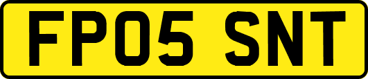 FP05SNT