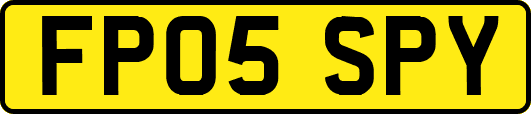 FP05SPY