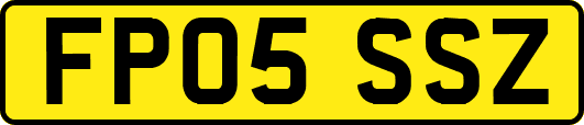 FP05SSZ