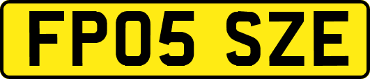 FP05SZE