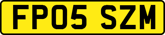 FP05SZM