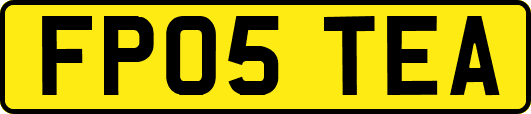 FP05TEA